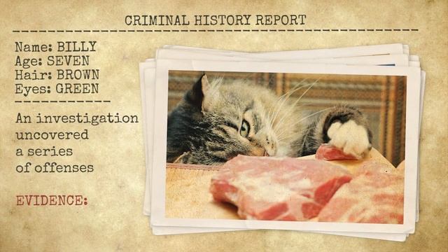 10. Criminal Demo смотреть онлайн