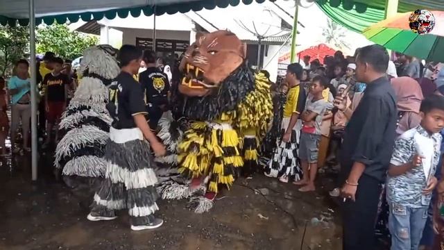 Atraksi Can Macanan Maong Remaja Live Bedadung Pakusari Jember | Lion Dance смотреть онлайн