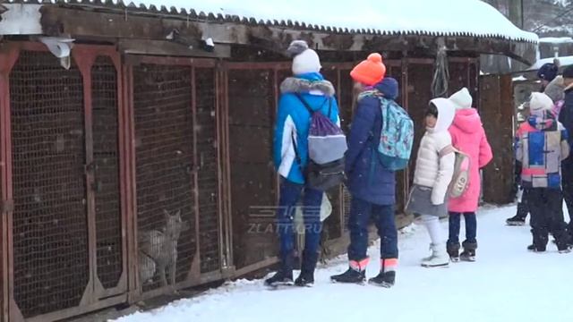 "ВЕСТНИК" 26.03.2018 смотреть онлайн