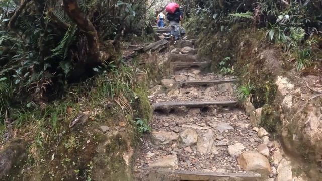 Vlog Tomod Ep 20 || Mendaki Gunung Kinabalu смотреть онлайн