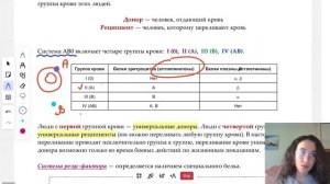 ГРУППЫ КРОВИ - теория для экзамена | ЕГЭ БИОЛОГИЯ