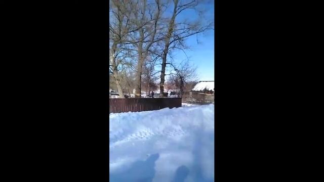 як правильно спилять дерево **уровень бог** смотреть онлайн