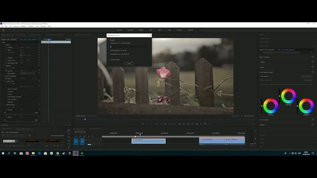 Sharpen, DeNoise & Color Grade your video // Premiere Pro // Canon 200d (rebel sl2) смотреть онлайн