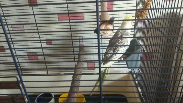 У нас новый житель )