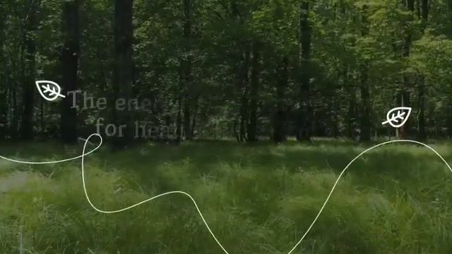 The Skin House Brand Introduction смотреть онлайн