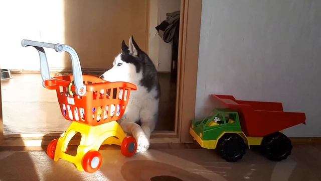 #влог #манго смотреть онлайн