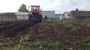коп картошки самодельной кортофелекопалкой на т 25\homemade potato digging machine on tractor