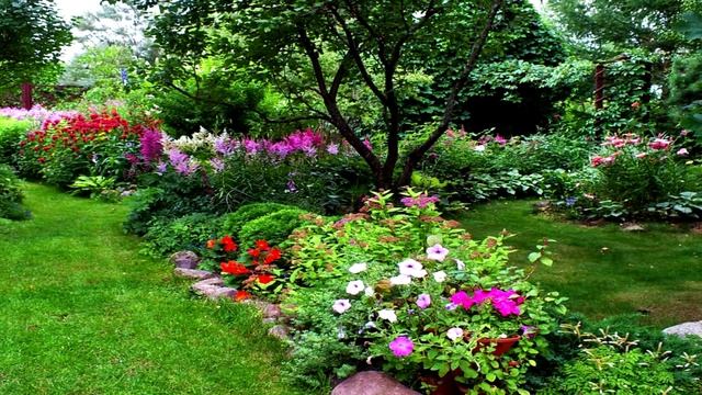 САД смотреть онлайн