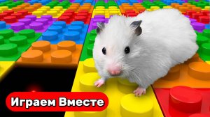 Хомяк в лабиринте ! Умный хомяк попал в КОСМИЧЕСУЮ тюрьму с ЛОВУШКАМИ ! Видео для детей