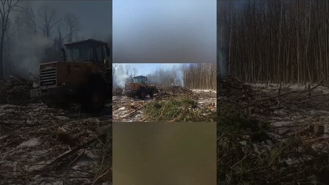 Один день лесозаготовителя 21 века смотреть онлайн