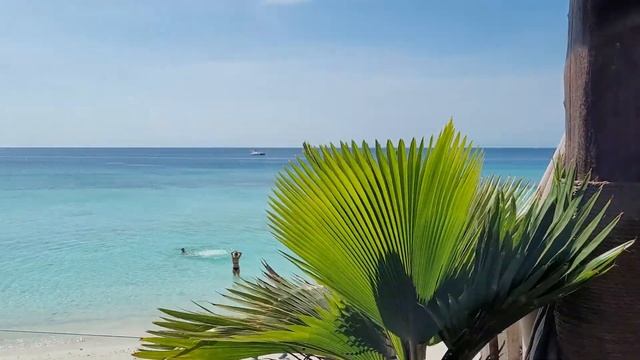 Welcome to Amaan Beach Resort in Nungwi, Zanzibar Island - Tanzania Nov 2021 Journey of a Lifetime смотреть онлайн