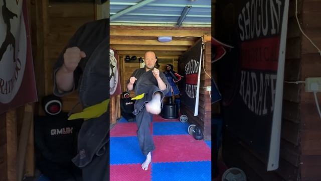 Kin Geri - Front snap kick смотреть онлайн