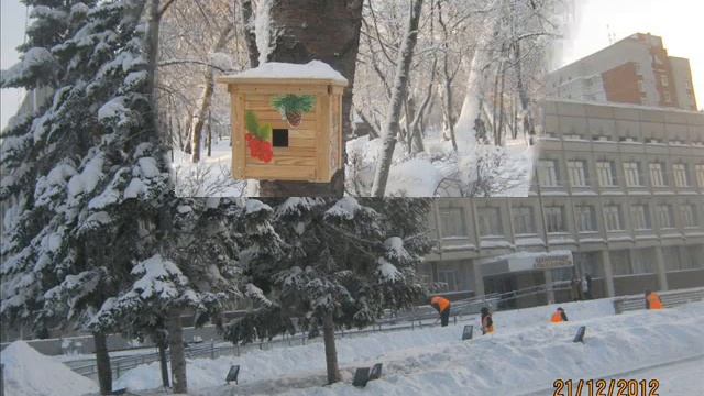 Я ТАК РЕШИЛА