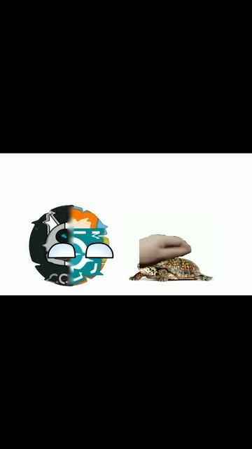 моя черепаха смотреть онлайн