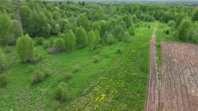 Полет над лесом 7 смотреть онлайн