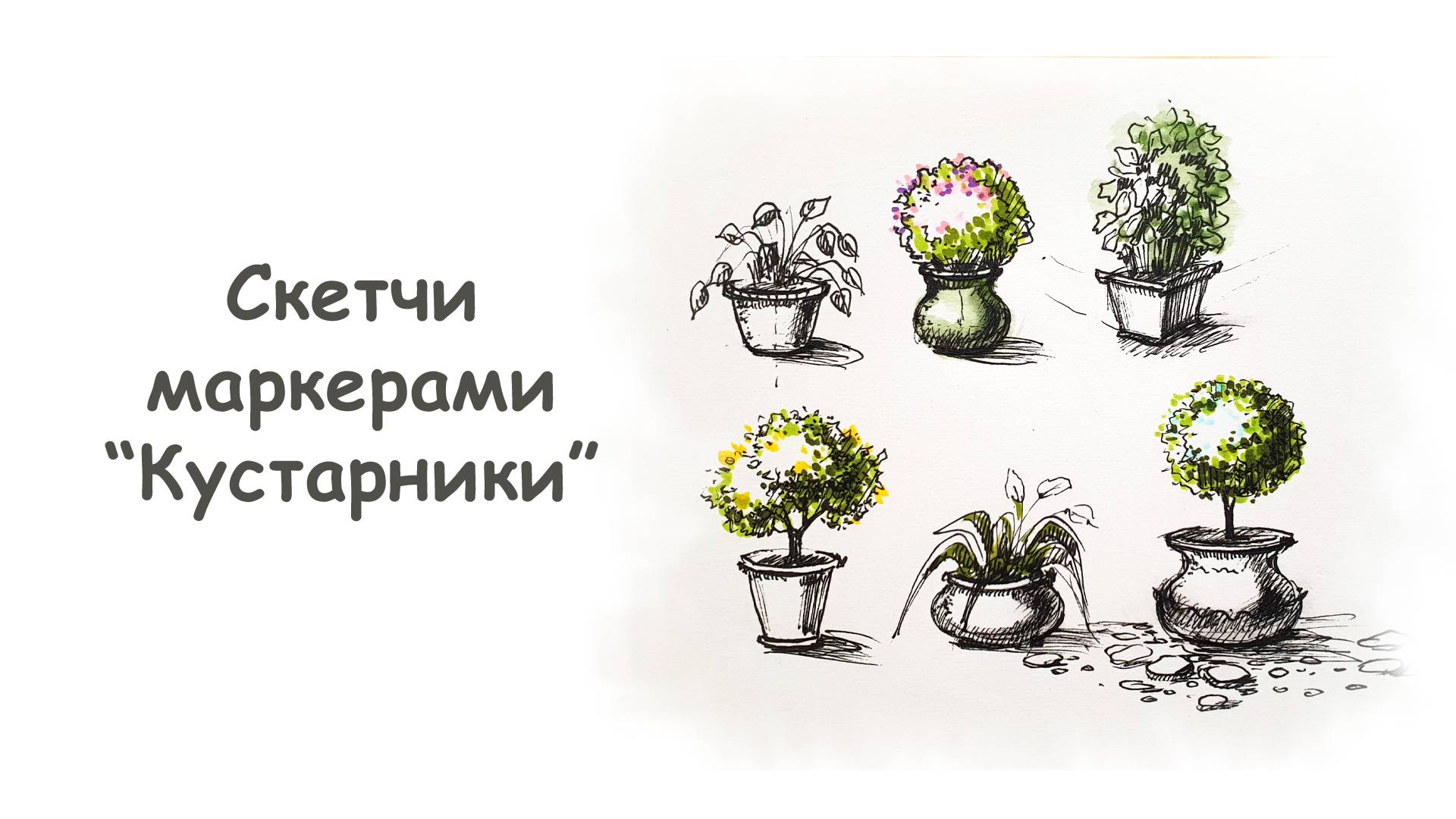 Рисуем разные кустарники линерами / Курс "Скетчи маркерами для начинающих" от more-art.ru смотреть онлайн