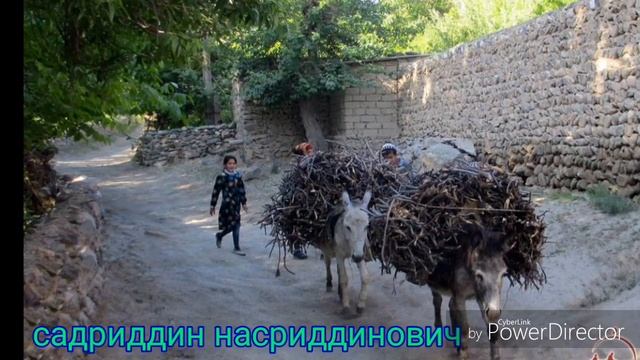 Салам салам ташкент