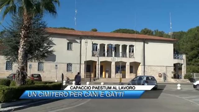 CAPACCIO PAESTUM AL LAVORO UN CIMITERO PER CANI E GATTI смотреть онлайн