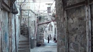 «Пермская рябинка» (2016 г.).