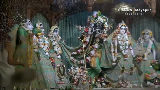 Darshan Arati Sri Dham Mayapur - July 15, 2022 смотреть онлайн