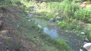 Поиск золота на старых отвалах