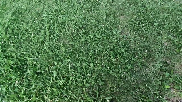 УЖАС🙈🙈🙈Я НА КАЧЕЛЯХ//ПАРК//ОТДЫХ смотреть онлайн