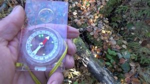 В поиске золота