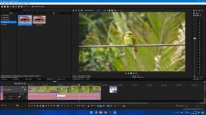 Vegas Pro 21. Как правильно конвертировать видео и делать приближения