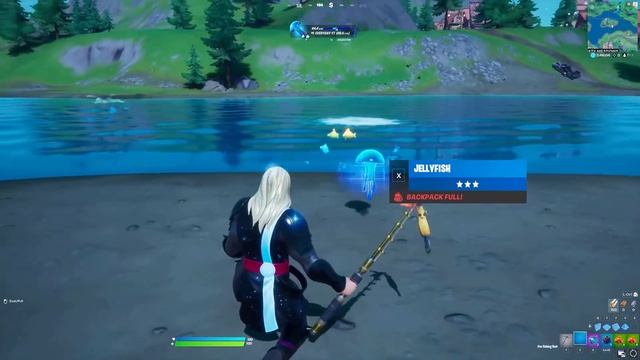 All 40 Fish Locations in Fortnite Chapter 2 Season 4! - How to Complete G-01 Punch Card! смотреть онлайн