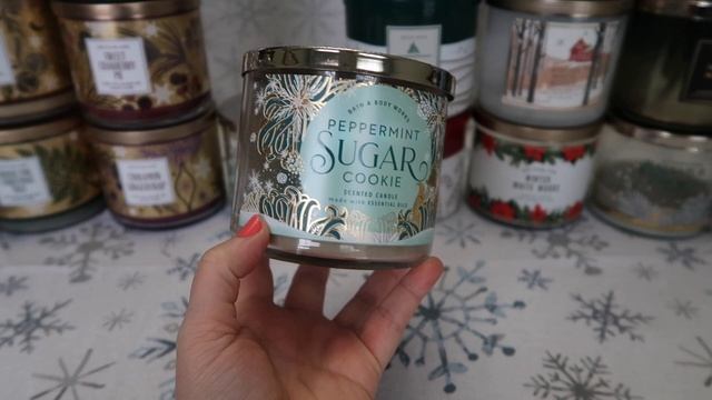 HUGE Bath & Body Works Candle & Body Care Empties|Winter 20/21 смотреть онлайн