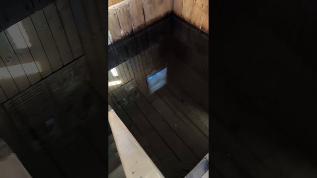 В деревне у мамы!