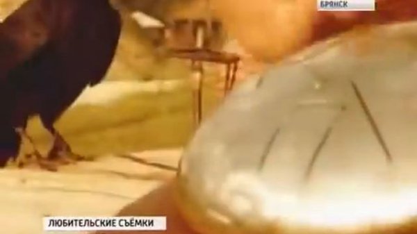 Kosmosky / Глюкофоны по ТВ, телеканал Россия