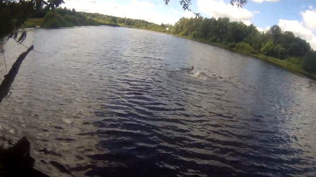 Грабли потеряли но нашёл ЗОЛОТО! смотреть онлайн