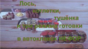 Лось, котлетки и тушёнка. Три температурных режима готовки. Автоклав НЕФОР.