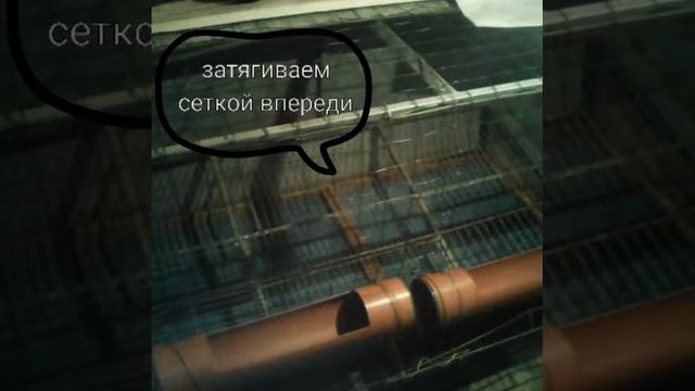 Разведение кур. смотреть онлайн