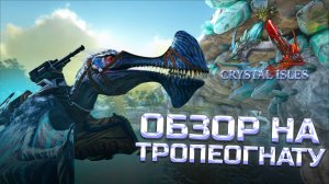 САМЫЙ БЫСТРЫЙ ГАЙД по приручению ТРОПЕОГНАТА и ОБЗОР