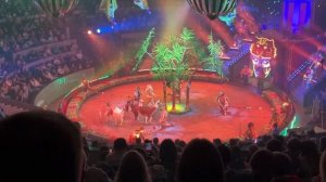 Шоу цирка Бурлеск. Новосибирск 1.04.2023