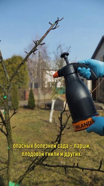 Без этой обработки урожая плодовых не будет! Первая и очень важная обработка сада весной смотреть онлайн