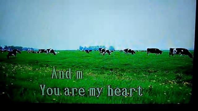 You (Carpenters) Cherrie Carpenteria Version смотреть онлайн