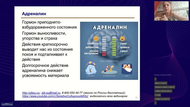 Как гормоны влияют на обучение (Рощупкина Е.П.) смотреть онлайн