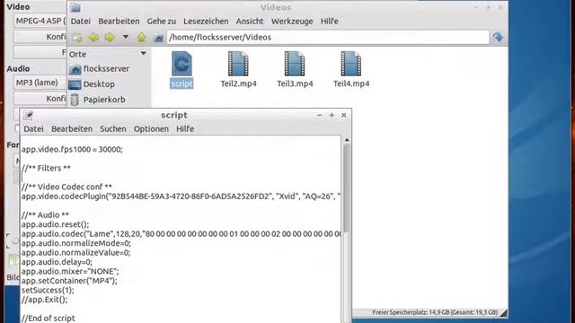 Avidemux Scripting: Teil 2 - Einführung Script