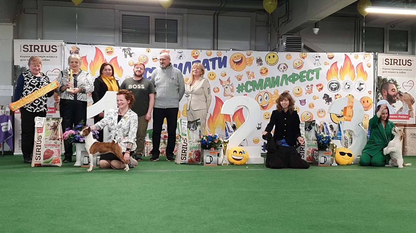 09.03.2025, СПб. Клуб "Президент-2" ( РКФ, ОАНКОО). Выставка собак "СМАЙЛ-ПАТИ-2" (САС, ЧРКФ) смотреть онлайн