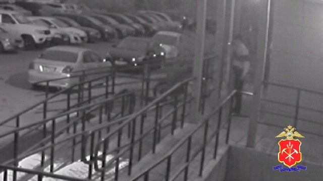 В Кемерове осужден серийный веловор, который совершил 6 краж велосипедов за 2 дня смотреть онлайн