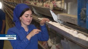 В Таджикистане производство куриного мяса и яиц стремительно растет!