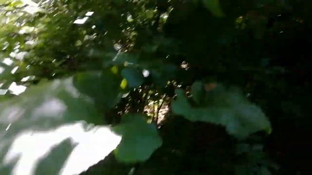 Поилка для пчёл с сюрпризом смотреть онлайн