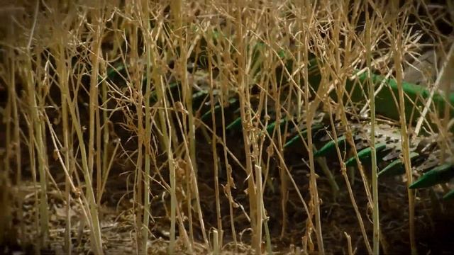 Уборочные работы. смотреть онлайн