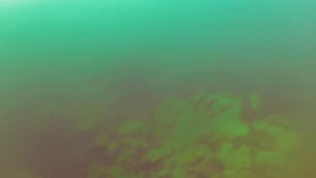 DIVEZONE. Днепр. Пятихатский карьер смотреть онлайн