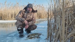 ЛОВЛЯ ЩУКИ НА ЖЕРЛИЦЫ!!ЩУКА КЛЮЁТ В ТЕПЛЫЙ МАРТОВСКИЙ ДЕНЬ))ОКУНИ РЯДОМ))