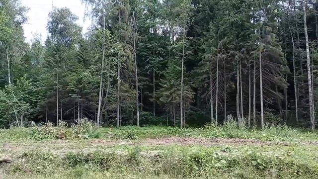 ЛЕТНИЕ ДЕНËЧКИ / Наслаждаемся ЛЕТОМ / У БАБУШЕК @mamalife8317 смотреть онлайн