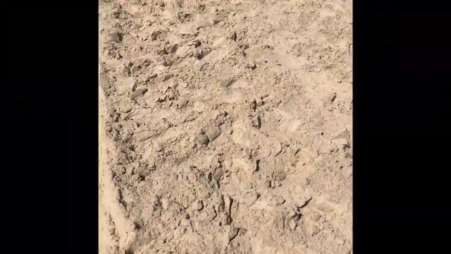 СМ-4. SM-4. очистка и выравнивание пляжа